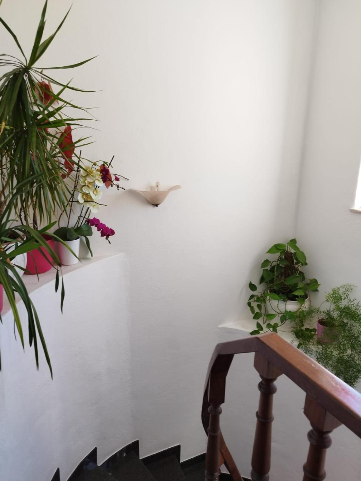 Amar Mar Villa Vila do Bispo Eksteriør billede